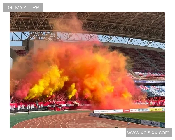 里昂与摩纳哥激战正酣赛果揭晓引发球迷热议