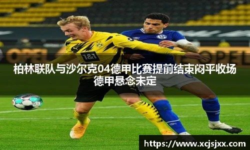 柏林联队与沙尔克04德甲比赛提前结束闷平收场德甲悬念未定