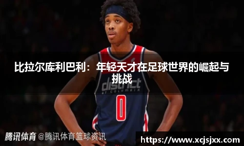 DB旗舰手机网页版登录