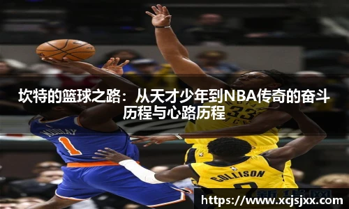 DB旗舰官网入口