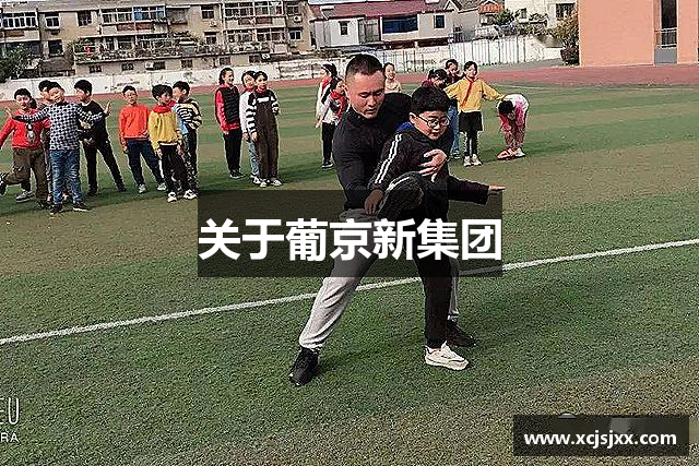 关于葡京新集团